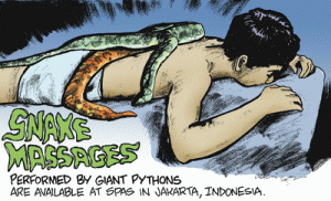 snake massage