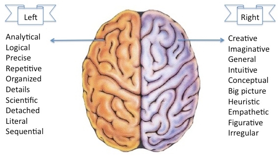 Brain1