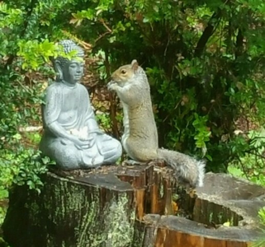 worshipping squirrel