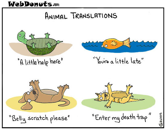 translations